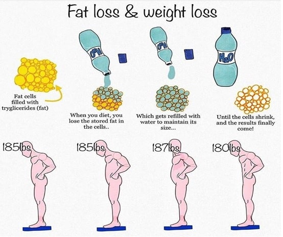 How is Weight Loss Different from Fat Loss